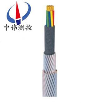 承荷探測(ce)電纜