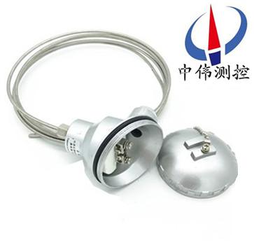 鎧裝(zhuang)熱(re)電阻