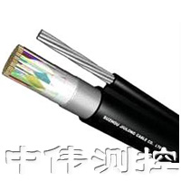 屏蔽信號電纜(lan)