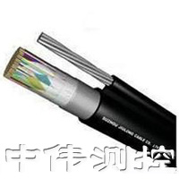 舩用射頻電(dian)纜
